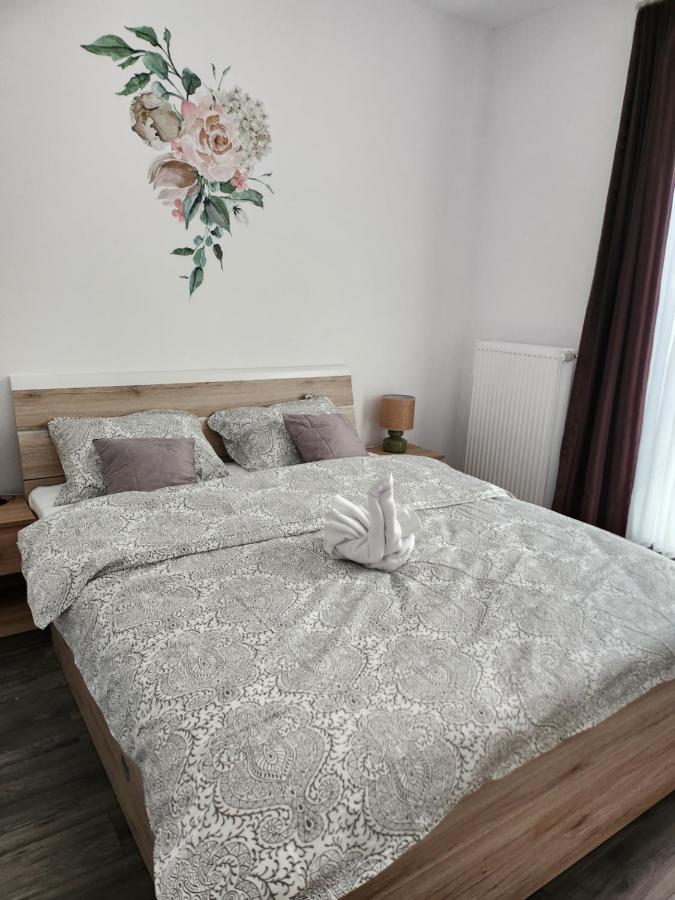 Armina'S Residence Dumbravita  Εξωτερικό φωτογραφία