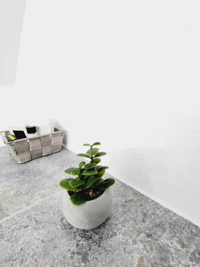 Armina'S Residence Dumbravita  Εξωτερικό φωτογραφία